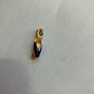 Gold and Blue Shoe Charm
